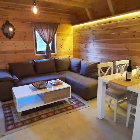 Mountain House Bjanka Villa Žabljak Екстериор снимка