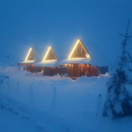 Mountain House Bjanka Villa Žabljak Екстериор снимка
